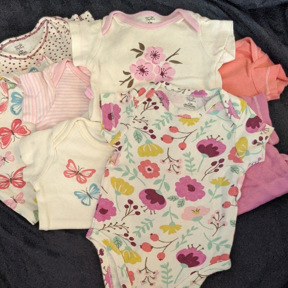 Floral and Butterfly Print Kids Bodysuit Set